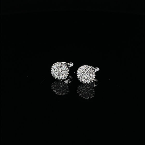 Crivelli Earrings